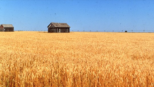 Le grand congé de l’automne