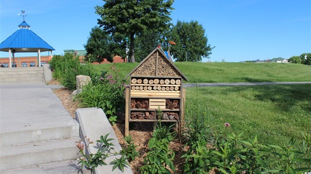 Un aménagement paysager obtient une certification du Jardin botanique de Montréal