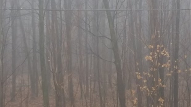 Joyeuses Fêtes malgré un Noël gris dans Vaudreuil-Soulanges!