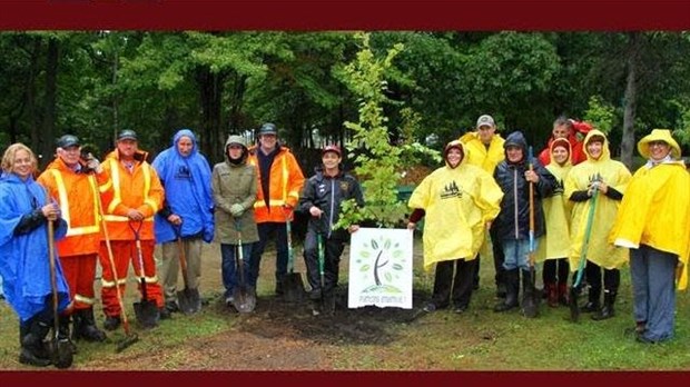 On plante des arbres avec la députée de Soulanges Lucie Charlebois