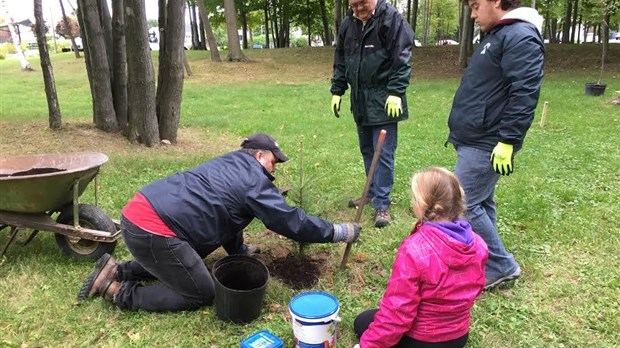 Une opération de verdissement réussie au parc Boischatel de l'Île-Perrot