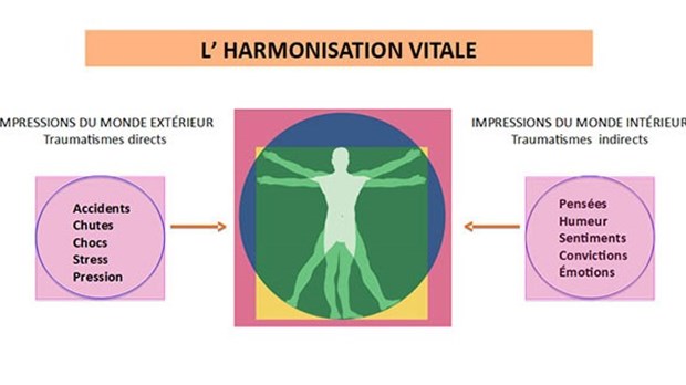 Au nom de la santé ; l'optimisme, ça s'apprend !