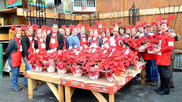 Plus de 2 200 poinsettias ont déjà été réservés au profit de la FMSPVS