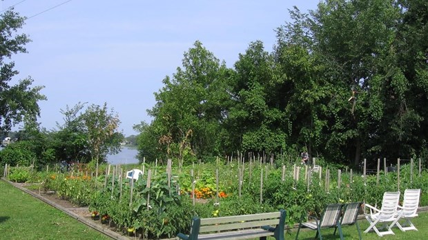 Conférence sur l’entretien du jardin à Pincourt