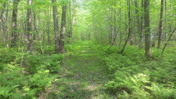 Un parc nature en milieu urbain à Saint-Zotique