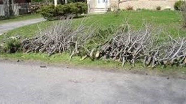 Collecte spéciale de branches à Saint-Lazare