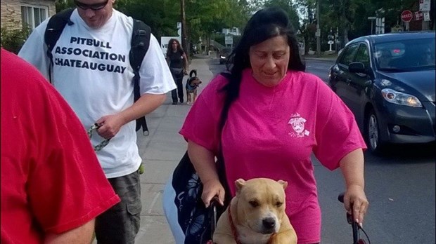 Une vingtaine de participants à la marche pour s'opposer à la législation spécifique des races de chiens 