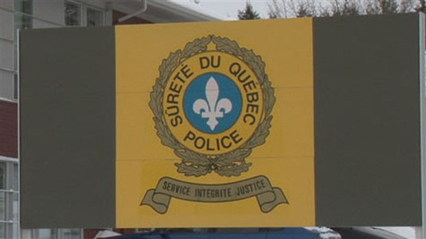 Saisie de plus de 1150 plants de cannabis à Vaudreuil-Dorion
