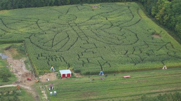 Trois labyrinthes géants au Verger Labonté 