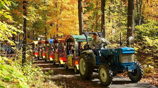 Soirée d’information et inscriptions de bénévoles pour le Festival des couleurs