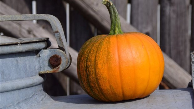 Donnez une deuxième vie à vos citrouilles