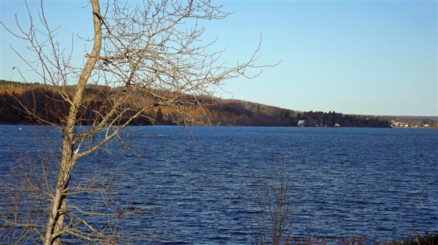 Prenez part à la mise à jour du Plan d'action et de réhabilitation écologique du Lac Saint-François