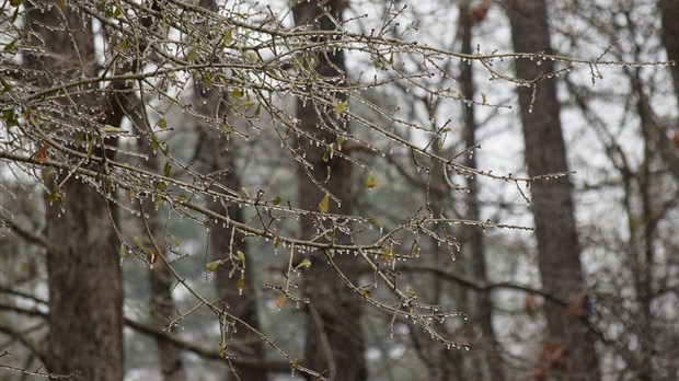 Cocktail météo: prévoyez vos déplacements