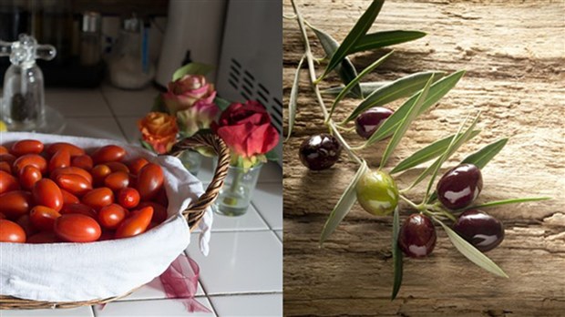 Comment reconnaître une huile d'olive de qualité