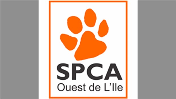 La SPCA Ouest de l'île tiendra son premier gala annuel