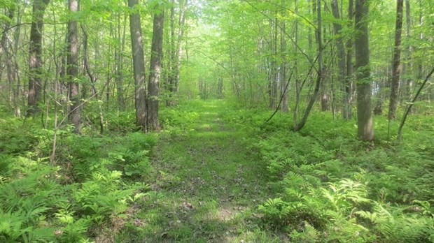 Un parc pour les citoyens, à l’image des citoyens