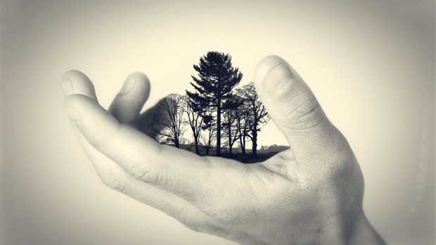 La Ville des Coteaux célèbre le mois de l'arbre et des forêts