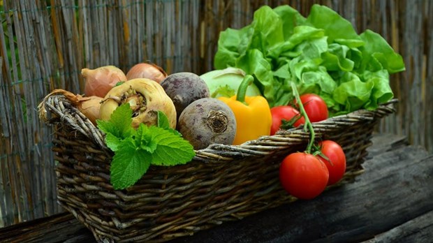 Le Marché champêtre de Rigaud débute sa saison ce vendredi