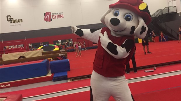 Amusez-vous en famille au Club de Gymnastique Gymini