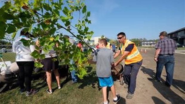 La Ville de Saint-Lazare plante 36 nouveaux arbres