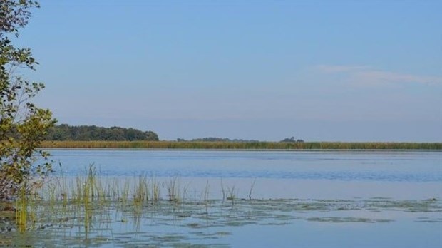 Prenez part à la discussion pour la protection du lac Saint-François