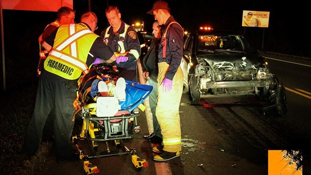Collision entre une voiture et un chevreuil à Les Cèdres