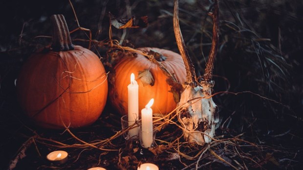Halloween : la Sûreté du Québec rappelle quelques consignes de sécurité
