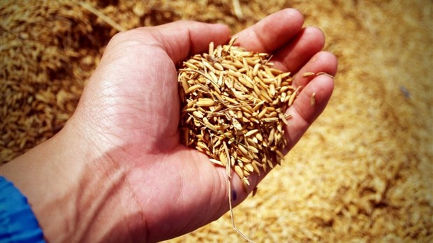 Les agriculteurs de la Ville de Rigaud sont invités à exprimer leur vision du développement durable