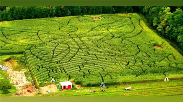 Laissez-vous séduire dans le labyrinthe du Verger Labonté  