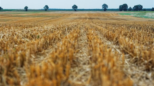 Les agriculteurs de la Montérégie interpellent le gouvernement