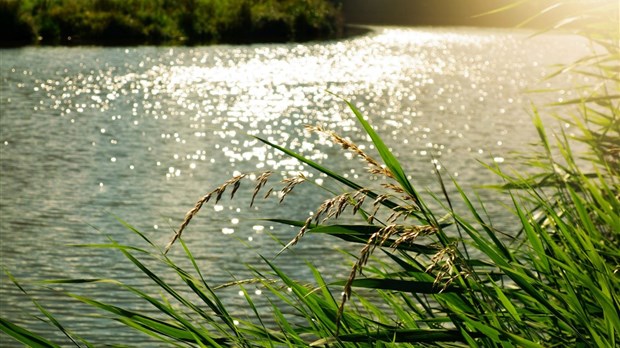 Le documentaire LA BEAUDETTE...une rivière m'a parlé sera diffusé pour une dernière fois