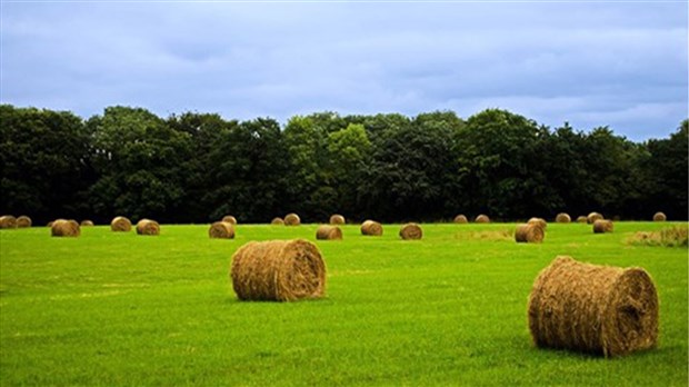 Investissement de 2,7 millions pour soutenir les producteurs laitiers du pays 