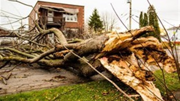 Tempête automnale: est-ce qu’Hydro-Québec pourrait vous rembourser vos dommages? 