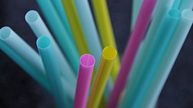 Plastique à usage unique : le NPD demande une stratégie nationale