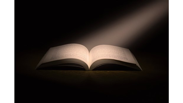 La magie des mots offre des ateliers complètement gratuits pour parfaire votre français