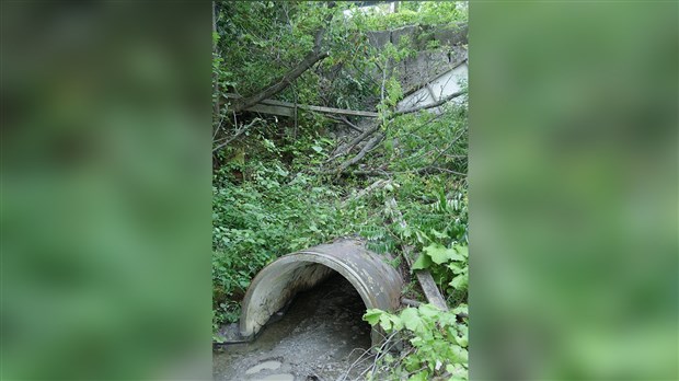 Dossier Vallée-Chaline : « C'est comme si personne ne prenait le problème au sérieux. »