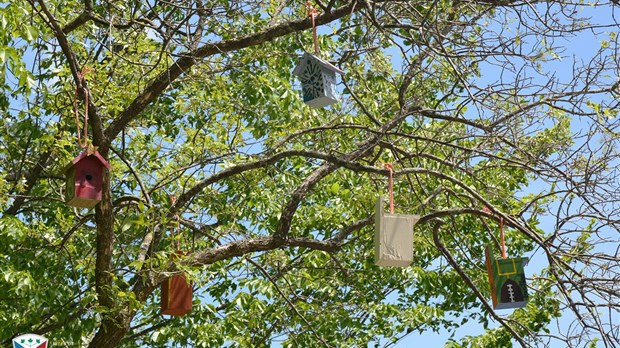 Une cinquantaine de cabanes d'oiseaux décorent deux parcs de Pincourt