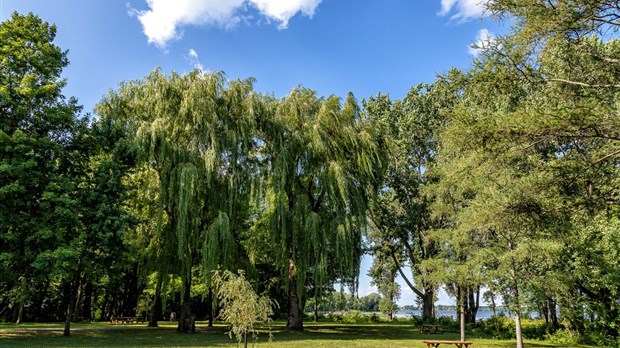 Le parc du 405, St-Charles s'animera tout l'été