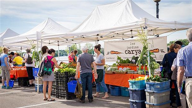 L'ail sous toutes ses formes en vedette au Marché Ste-Anne 