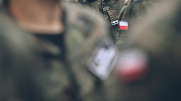 Propriétaire d’un véhicule militaire hors route? N’oubliez pas de changer votre immatriculation