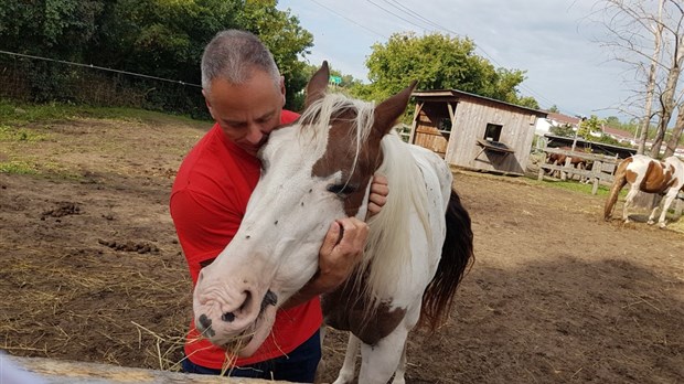 « Nous offrons aux chevaux une chance de vivre le reste de leur vie dans un environnement sécuritaire et paisible. » - Mike Grenier