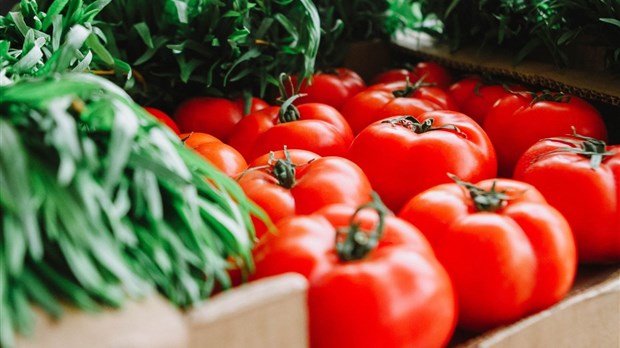 Le Marché des saveurs de L'Île-Perrot célèbre les moissons
