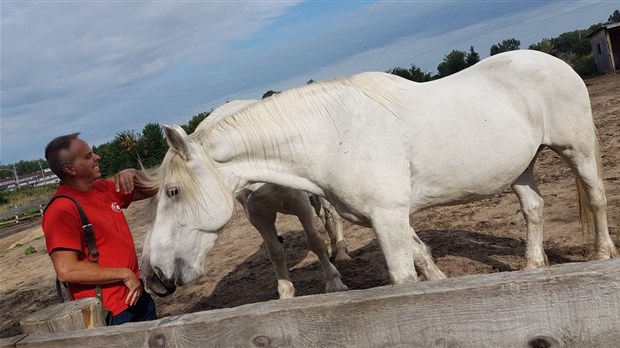 Le Secours Une histoire de Chevaux reçoit le prix Héros du cheval 2019