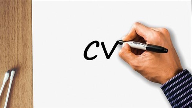 Hausse notable de l'emploi au Québec