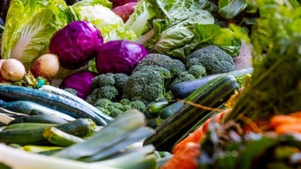 La Coop-CSUR s'adapte à la COVID-19