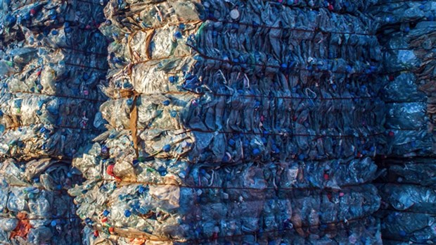 Devenez un pro du bac de recyclage après une conférence de Tricentris 