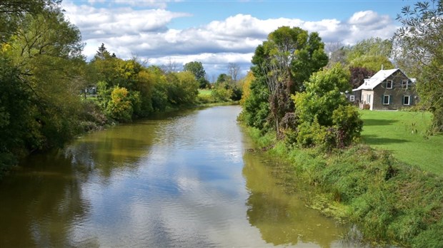 Les poissons seraient morts de cause naturelle dans la rivière Rigaud selon le ministère 