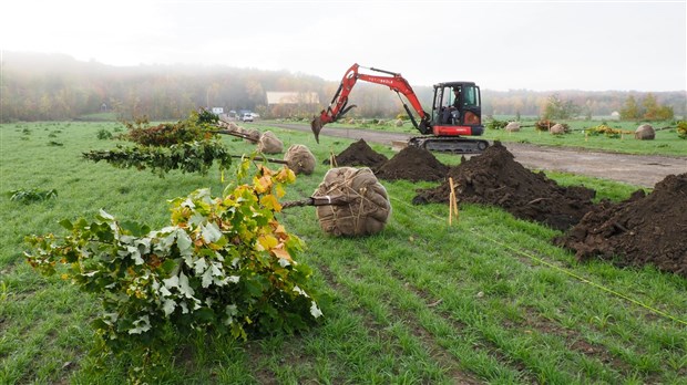 La ferme écologique Petit Brûlé en route vers la carboneutralité