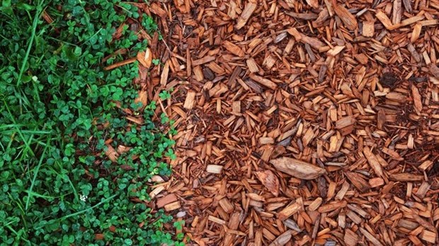 Début des inscriptions pour la Foire horticole de Vaudreuil-Dorion