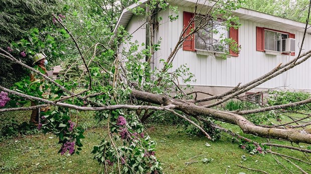 Les forts vents causent des dommages dans Vaudreuil-Soulanges